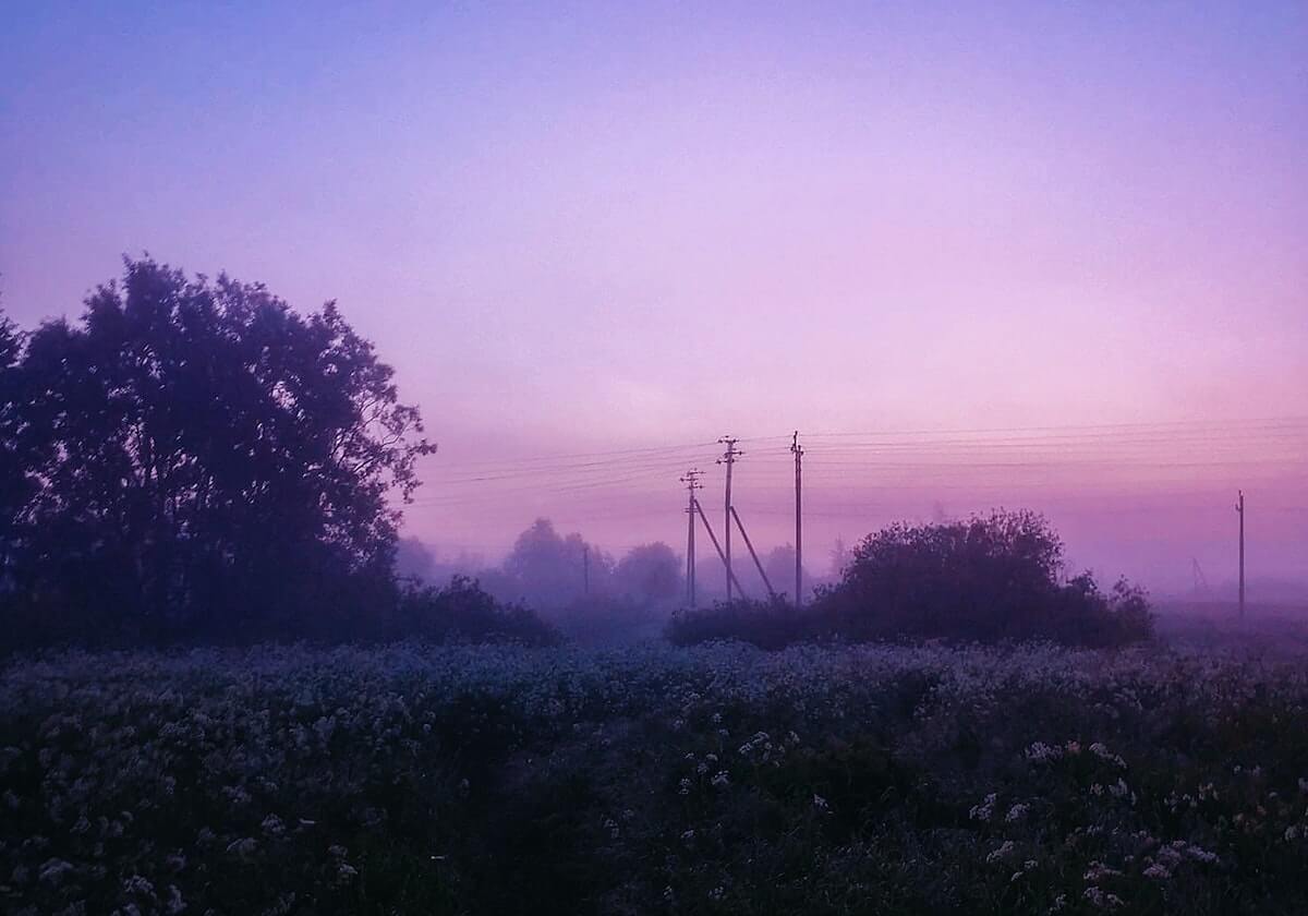 “把全世界的banana给郑钦文！”今天下午，加油